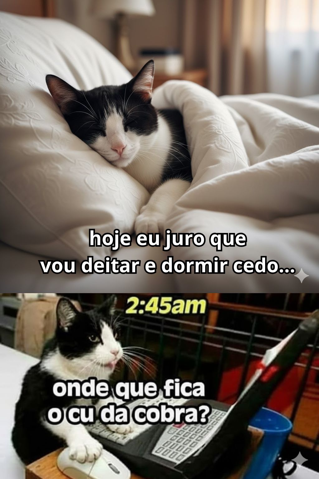 Meme ChatGPT Crônicas